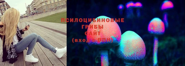 ешки Алексин