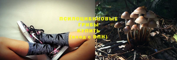 винт Алзамай