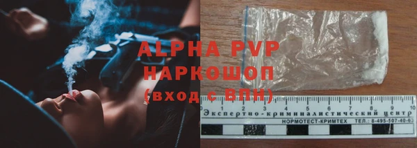 гидра Алексеевка