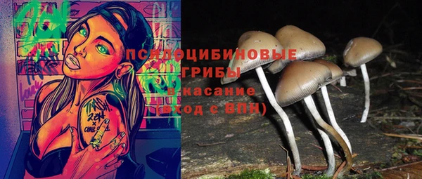 ешки Алексин