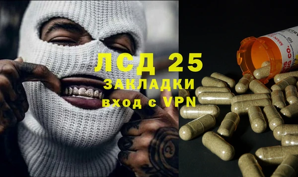 винт Алзамай