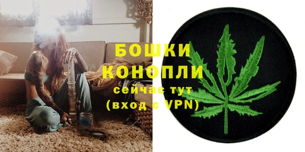 гидра Алексеевка
