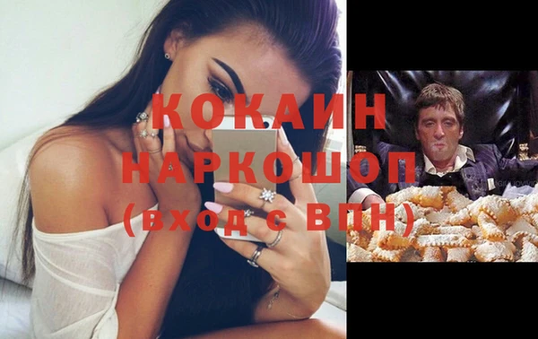 ешки Алексин