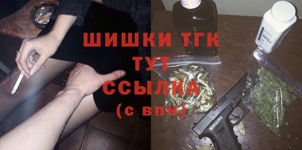 гидра Алексеевка
