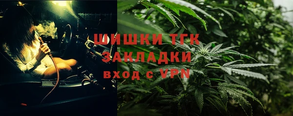 ешки Алексин